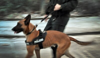 Polizeihund findet vermisste Demenzkranke - 