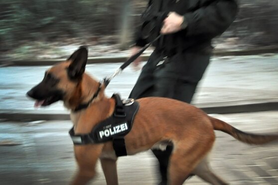 Polizeihund findet vermisste Demenzkranke - 