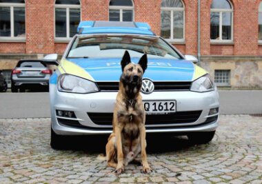 Polizeihund Pepe erschnüffelt Drogenvorräte in Wohnung - Polizeihund Pepe erschnupperte in Hartha mehrere Drogenverstecke in einer Wohnung.