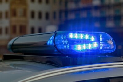 Polizist erlöst verletztes Reh im Plauener Stadtpark - 
