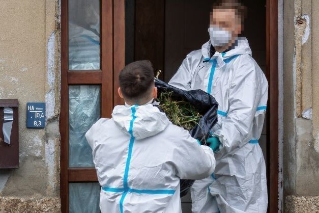 Polizisten heben Cannabis-Plantage aus - Polizisten schaffen Säcke voller Cannabis-Pflanzen aus dem durchsuchten Haus an der Kottengrüner Hauptstraße. 