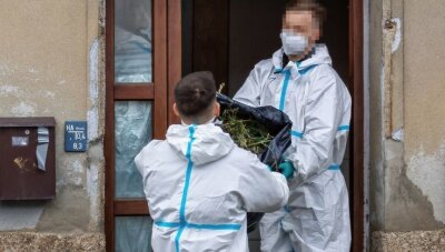 Polizisten heben Cannabis-Plantage aus - Polizisten schaffen Säcke voller Cannabis-Pflanzen aus dem durchsuchten Haus an der Kottengrüner Hauptstraße. 