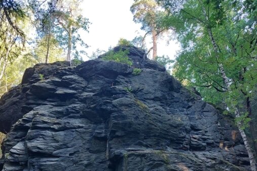 Der Poppenstein am Nordufer der Talsperre Werda besteht aus rund 500 Millionen Jahre altem Frucht- oder Knotenschiefer. 