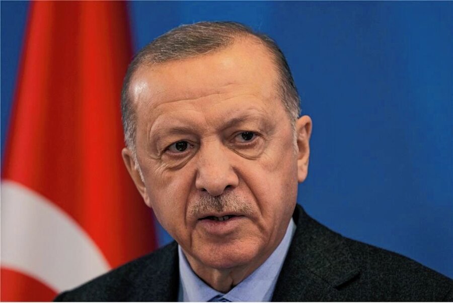 Präsident Erdogan zeigt Schwäche - Recep Tayyip Erdogan - Türkischer Präsident