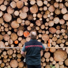 "Private Waldbesitzer sind im Nachteil" - Seit 2021 wurden im Staatswald des Forstbezirks Marienberg mehr als 40.000 Festmeter Borkenkäferholz geschlagen.
