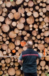 "Private Waldbesitzer sind im Nachteil" - Seit 2021 wurden im Staatswald des Forstbezirks Marienberg mehr als 40.000 Festmeter Borkenkäferholz geschlagen.