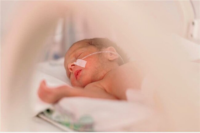Probleme mit Lunge, Sprache oder Diabetes: Der schwere Start von zu leichten Babys - Ganz zart: ein in der 33. Woche geborenes Frühchen. 