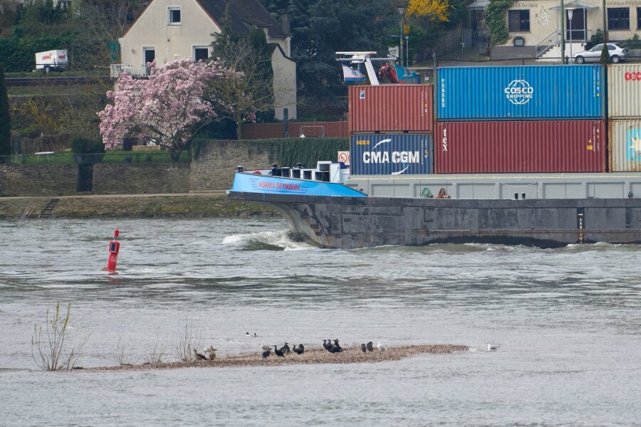 Projekt soll Engpässe im Rhein beseitigen - Der "Jungfrauengrund" bei Oberwesel: Auch bei Normalwasserstand ragen Steine aus dem Rhein hervor. Der Abschnitt dient der Planung einer durchgehend tieferen Fahrrinne.