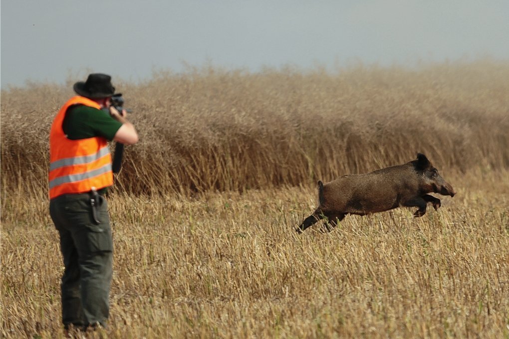 Prozess nach Schuss auf Badegast in Rebesgrün Wann und wo darf der Jäger schießen? Prozess nach Schuss auf Badegast in Rebesgrün Wann und wo darf der Jäger schießen?