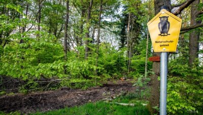 Prüfer: Baumfällarbeiten in Lichtenwalde waren naturschutzgerecht - In Lichtenwalde liegen drei Schutzgebiete, die sich teils überlagern. Baumfällarbeiten im März und April lösten Protest aus.
