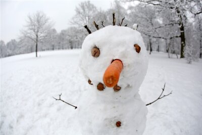 Pünklich zum Winteranfang: Gibt es nächste Woche Schnee? - Vielleicht bald wieder möglich: Schneemann bauen - mit einer Mohrrübe als Nase.