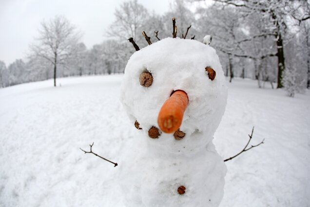 Pünklich zum Winteranfang: Gibt es nächste Woche Schnee? - Vielleicht bald wieder möglich: Schneemann bauen - mit einer Mohrrübe als Nase.