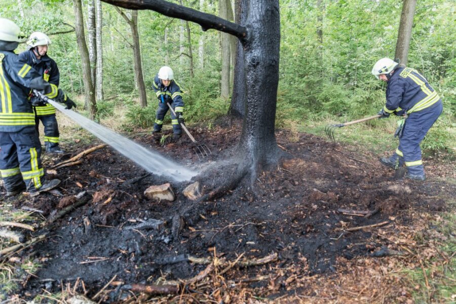 Radfahrer verhindern großen Waldbrand bei Brand-Erbisdorf - Rund um den Baum war ein Feuer ausgebrochen. 