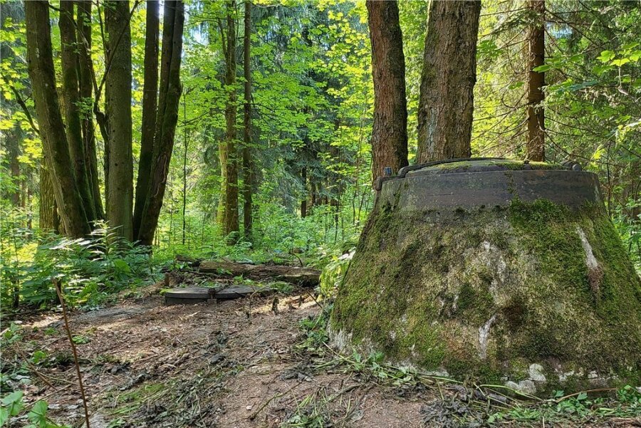 Rätselhafte Anlage im Wald bei Grünhain entdeckt - Mysteriöses Bauwerk: Der Kanalschacht vorn ist bekannt. Der kleinere Kanaldeckel links lag unter Moos versteckt. Die Betonkammer befindet sich dahinter. Ein Zugang wurde bislang nicht gefunden. 