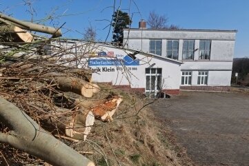 Rätseln um Baustart für Pennymarkt in Lichtenstein - Die Bäume sind gefällt, die "Zapf-Fabrik" steht leer. Eigentlich könnte der Bau beginnen.
