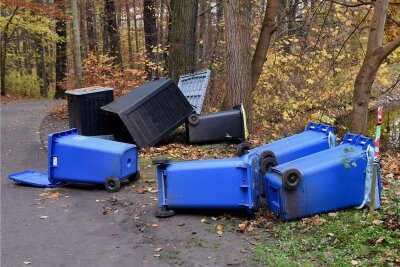 Randalierer wüsten im Crimmitschauer Sahnpark - Die Täter kippten Mülltonnen und -container um.