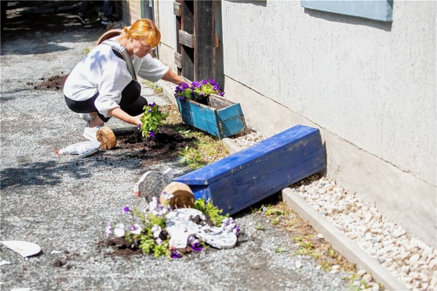 Randalierer wüten entlang der Plauener Weberhäuser - Erst am Vortag habe der Verein die Blumenkästen frisch bepflanzt. Vereinschefin Kerstin Rüffer ist entsetzt.