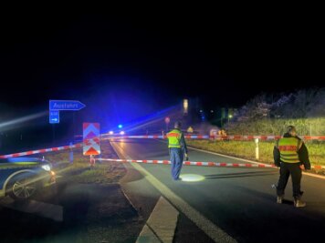 Rasende Rinder: Hier stoppt die Polizei vier Ausreißer nach ihrer Autobahn-Tour - Die Polizei hielt die Tiere an der A72 bis zum Eintreffen des Halters in Schach.