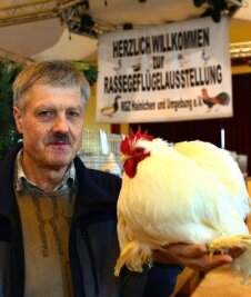 Rassegeflügel darf sich noch mal zeigen - Vereinsmeister Ulrich Bauknecht mit seinem zahmen Hahn, einem Zwerg-Cochin, weiß. 