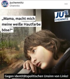 Mit ihrem Social-Media-Post hat die Junge Union Chemnitz im Internet viel Aufmerksamkeit auf sich gezogen. Inzwischen wurde der Post wieder gelöscht.