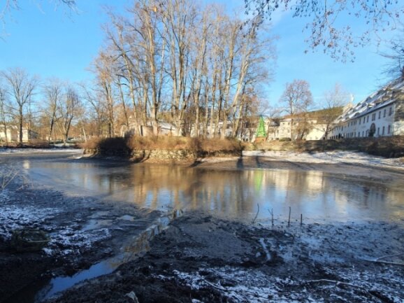 Das Wasser des Jahrhunderte alten Gelenauer Rathausteichs wurde bereits größtenteils abgelassen. Eine in einem Rohr eingewachsene Wurzel sorgt jedoch dafür, dass der Teich noch nicht komplett leer ist. 