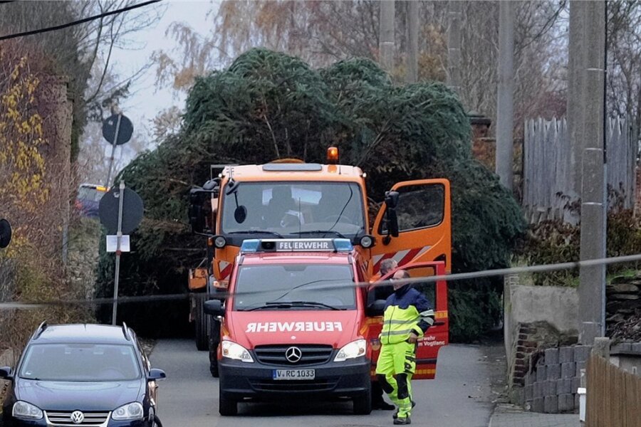Reichenbach holt Weihnachtsbäume - Auf solche Fotos aus dem Jahr 2019 kann man bei der Reichenbacher Stadtverwaltung vermutlich gern verzichten. Damals blieb der Weihnachtsbaum zwischendurch stecken.