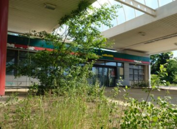 Reichenbach: Wer möchte diese verlassene Tankstelle kaufen? - Eine Atmosphäre fast wie in einer Tropenhalle. Überall auf dem einstigen Tankstellengelände an der Friedensstraße schießt das Grün in die Höhe. 