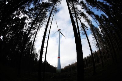 Reichenbach: Windpark-Pläne treffen auf Gegenwind - Windparks im Wald? Für mehr Windenergie an Land soll auch das möglich werden. Aktuell läuft im Planungsverband der Region Chemnitz die frühzeitige Beteiligung zum Raumordnungsplan Wind.