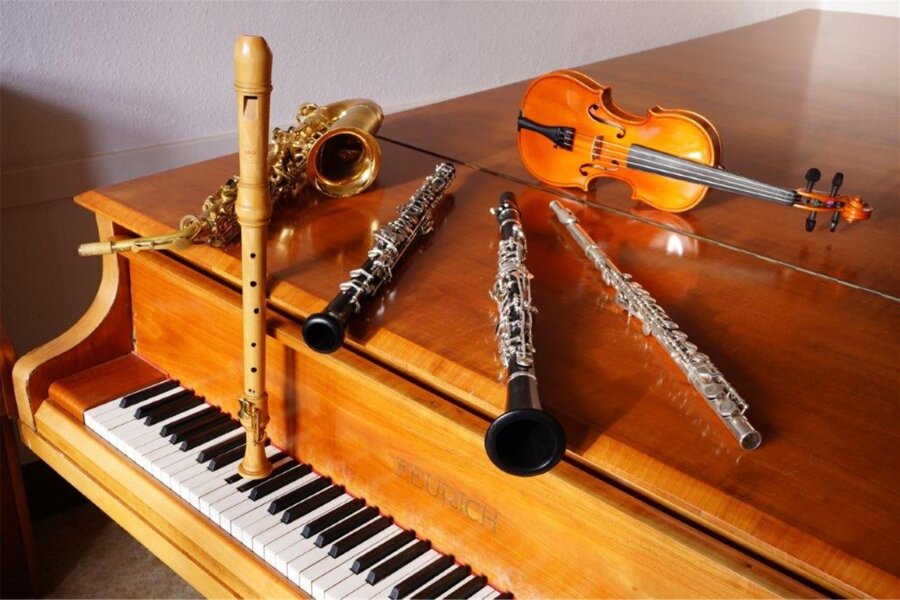 Reichenbacher Musikschule lädt zum „Tag der Instrumente“ - Tag der Instrumente