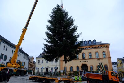 Reichenbacher Weihnachtsbaum vorm Rathaus aufgestellt - Der Reichenbacher Weihnachtsbaum 2019 wird vor dem Rathaus aufgestellt.