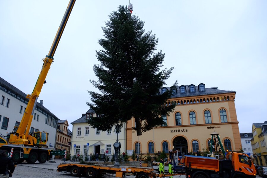 Reichenbacher Weihnachtsbaum vorm Rathaus aufgestellt - Der Reichenbacher Weihnachtsbaum 2019 wird vor dem Rathaus aufgestellt.