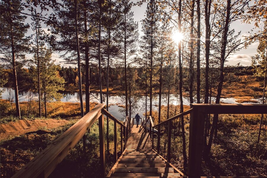 Reisetipp Finnland: Der Natur ganz nah - mit dem einzigen indigenen Volk Europas - Im Norden Finnlands ist die Natur immer präsent. Manche nutzen sie zum Waldbaden.