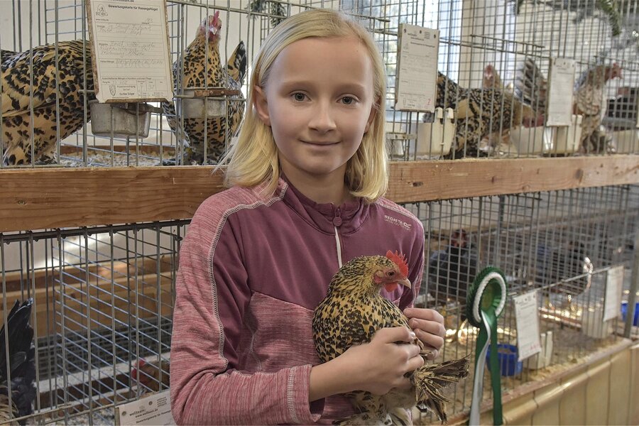 Rekord bei Kleintierschau in Bad Elster - Über den Titel als Jugendmeisterin in der Abteilung Geflügel konnte sich auf Federfüßige Zwergühner zitronen-porzellanfarbig die neunjährige Laura Millermann freuen.