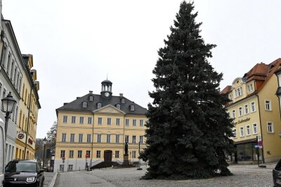 Rekordverdächtig: In Hainichen steht schon der Weihnachtsbaum - Der Weihnachtsbaum steht seit Dienstag auf dem Markt in Hainichen.
