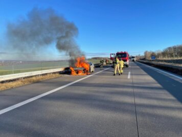 Renault brennt auf A 72 aus - Das Auto brannte auf dem Standstreifen aus.