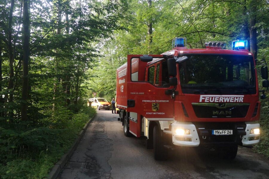 Rettungsaktion in Mittweida: Ältere Person stürzt in Bach - Die Feuerwehr musste am Donnerstag eine ältere Person retten, die von einem Abhang in einen Bach gestürzt war.