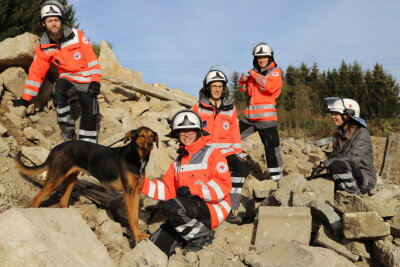 Rettungshunde üben in Aue-Bad Schlema für den Ernstfall - 
