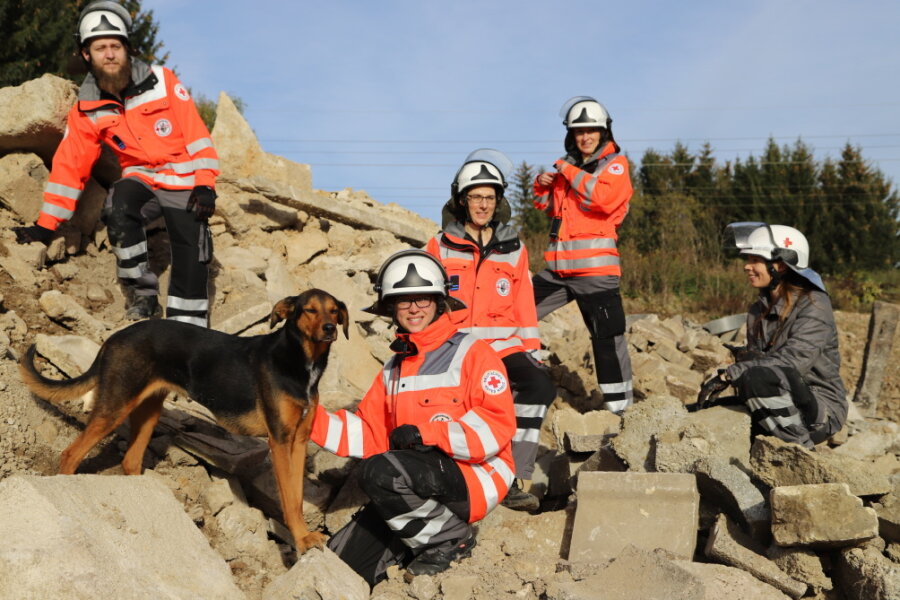 Rettungshunde üben in Aue-Bad Schlema für den Ernstfall - 