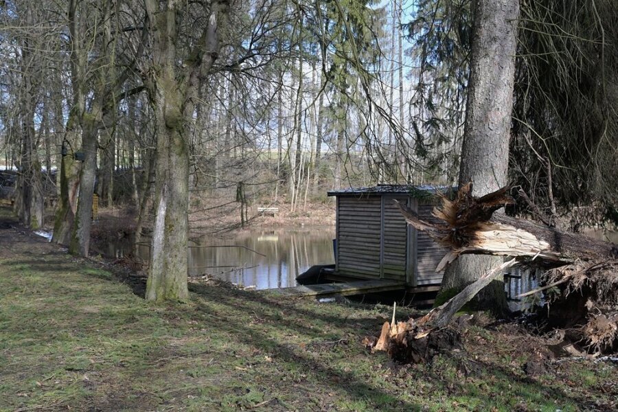 Revierförster will im Saupersdorfer Park aufräumen - Die letzten Stürme haben auch im Saupersdorfer Park gewütet. Der Revierleiter will die Idylle wiederherstellen. 