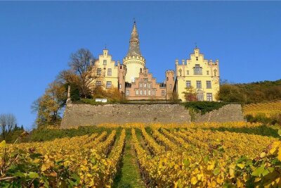 Rhein, Wein und ein Hauch Romantik - Märchenschloss im Rebenmeer: Arenfels thront seit Jahrhunderten hoch über dem Rhein.