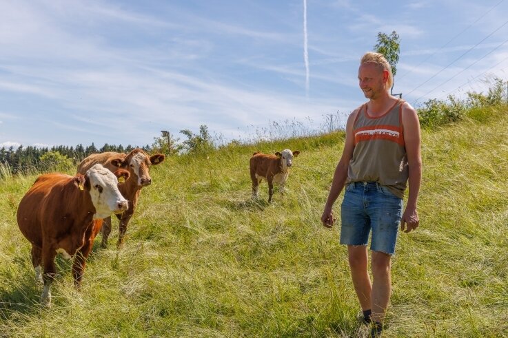 Rinder, Pferde, Felder: 30-Jähriger lebt Traum vom Landwirt - Johannes Mäthger ist Landwirt durch und durch. Urlaub, so sagt er, braucht er eigentlich nicht. Seine Tiere und der Hof sind sein Leben. 