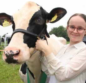 Rinderzüchter führen ihre schönsten Tiere vor - Die schönste Kuh des Wettbewerbes heißt Havel, vorgestellt von Sophie Tröger. Sie hat ihr Zuhause bei Kerstin Döhler in Steinberg. 