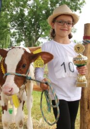 Rinderzüchter führen ihre schönsten Tiere vor - Mirijam Eichler aus Heinsdorfergrund siegte mit Kälbchen Alma in der Klasse der Fünf- bis Sechsjährigen. 