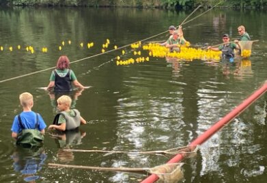 Ringethaler und Gäste feiern am Teich eine dreitägige Sause - Pünktlich 15.30 Uhr wurden die Enten für das Entenrennen in die Zschopau geschüttet.