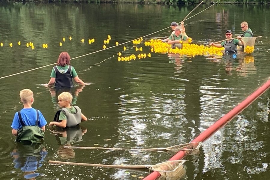 Ringethaler und Gäste feiern am Teich eine dreitägige Sause - Pünktlich 15.30 Uhr wurden die Enten für das Entenrennen in die Zschopau geschüttet.