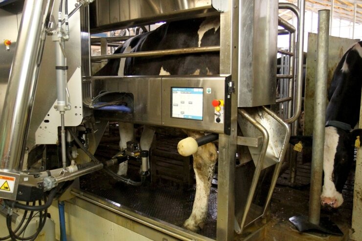 
              <p class="artikelinhalt">Während sich die Kuh ihr Futter schmecken lässt, beginnt der Roboter mit dem Melken. Ein Computer erfasst von jedem Tier die Daten. Dazu gehören unter anderem die Milchleistung und wann das Tier zum letzten Mal gemolken wurde.</p>
            