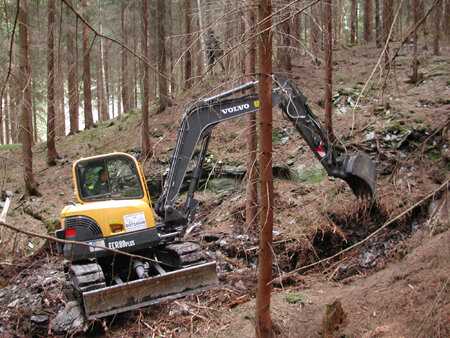 Rodewisch: Schatzsucher geben nicht auf - Bereits im April dieses Jahres wurde in einem Waldgebiet nach Stollen gesucht. 