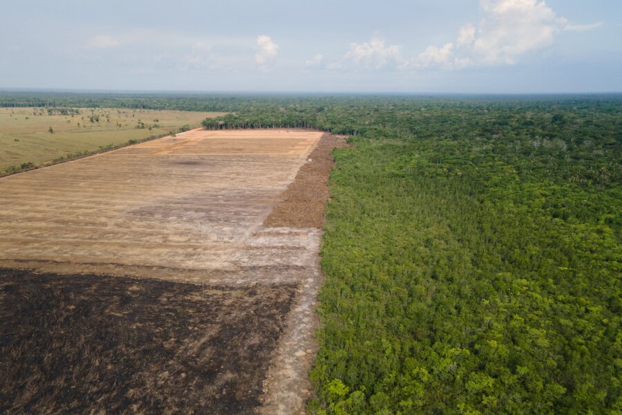 Rodung im Amazonasgebiet auf niedrigstem Stand seit 2018 - Das Luftbild zeigt eine verbrannte und abgeholzte Fläche im brasilianischen Amazonas-Gebiet.