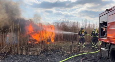 Rossau: Feuerwehren kämpfen 3 Stunden gegen Feldbrand - 