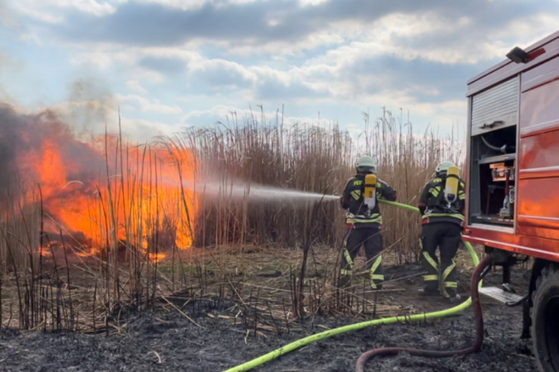 Rossau: Feuerwehren kämpfen 3 Stunden gegen Feldbrand - 